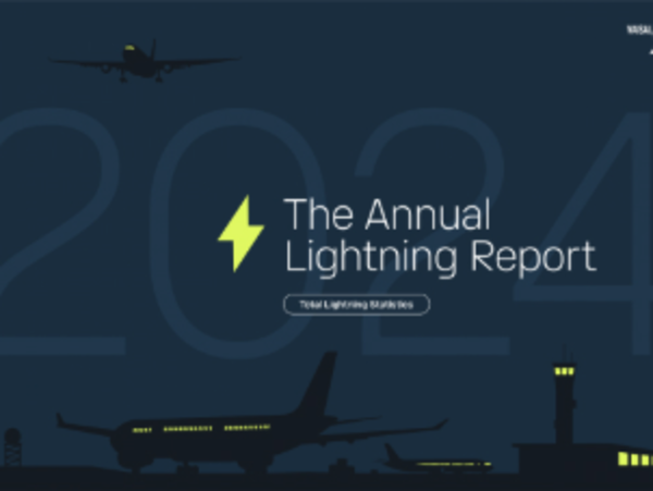 The Annual Lightning Report 2024