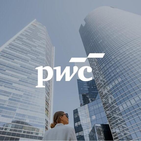 Professional services client case image illustrating data-driven business consulting